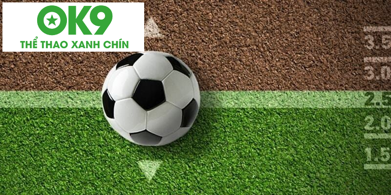 Đặt cược chi tiết tại nhà cái Đặt cược chi tiết tại nhà cái