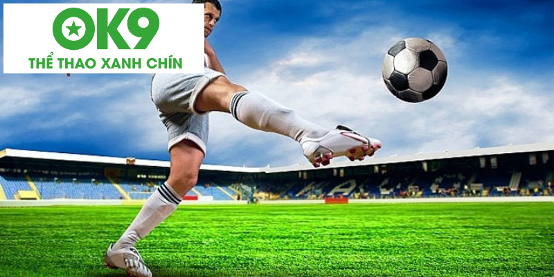 Những quy định được đề cập trong luật hiệp phụ