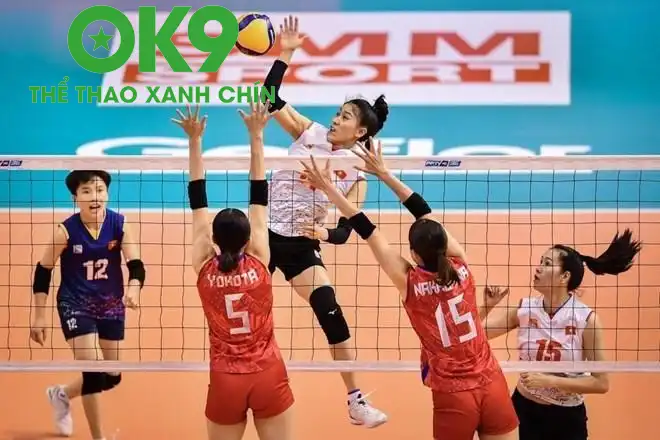 bong chuyen nu vn 2 6875dab87d406